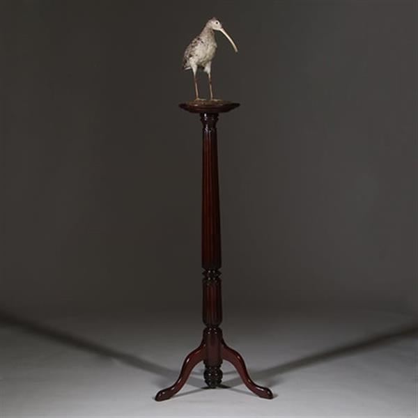 Grote foto zeer hoge elegante piedestal met verdiept blad in donker notenhout no.332430 antiek en kunst stoelen en banken