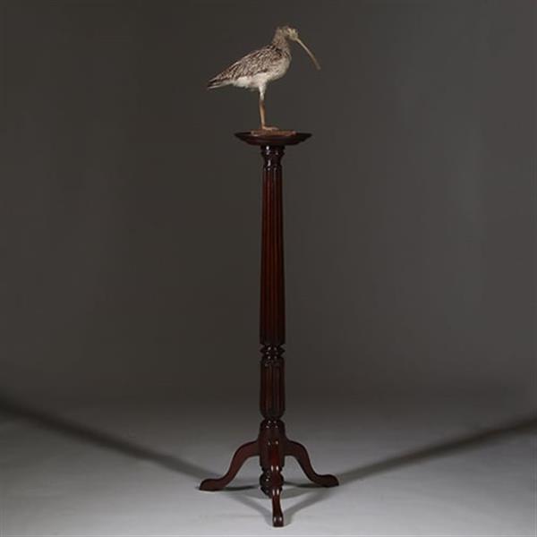 Grote foto zeer hoge elegante piedestal met verdiept blad in donker notenhout no.332430 antiek en kunst stoelen en banken
