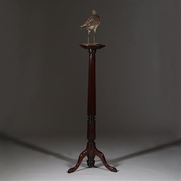 Grote foto zeer hoge elegante piedestal met verdiept blad in donker notenhout no.332430 antiek en kunst stoelen en banken