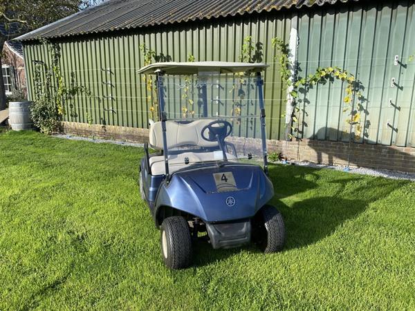 Grote foto yamaha ydre golfkar electrisch motoren buggy en quad