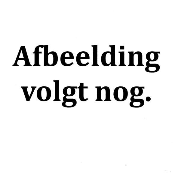 Grote foto vs 22449 elektrische palletwagen hoogheffer still exu h 20 doe het zelf en verbouw hefwerktuigen