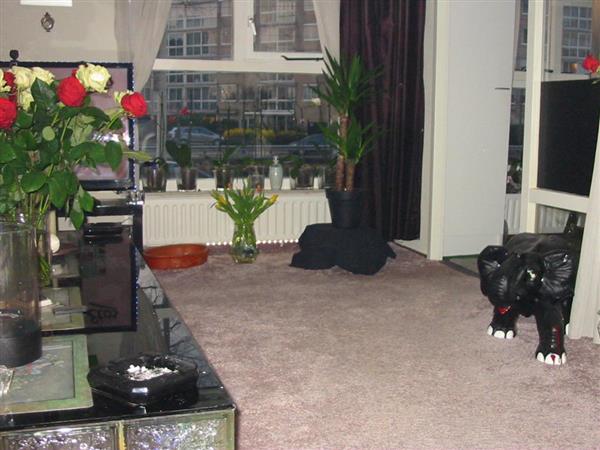 Grote foto hi wil jij iets kleiner wonen van 4 naar 3 huizen en kamers woningruil naar groter
