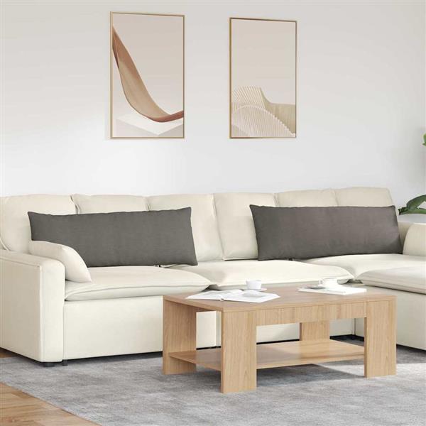 Grote foto vidaxl sofa kussens 2 pcs lichtgrijs 120 x 40 cm katoen stof huis en inrichting woningdecoratie