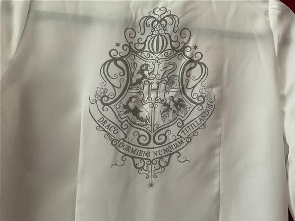 Grote foto blouse harry potter verzamelen harry potter