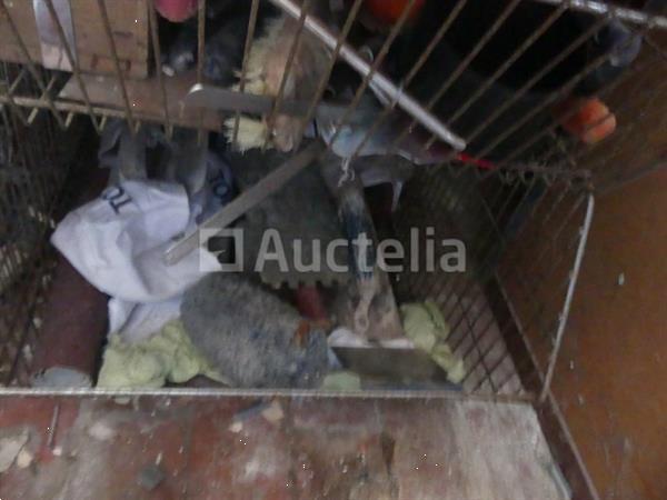 Grote foto 11 manden met inhoud doe het zelf en verbouw gereedschappen en machines