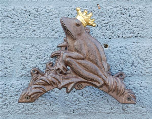 Grote foto tuinslanghouder kikker prins met gouden kroon gietijzer tuin en terras tuindecoratie