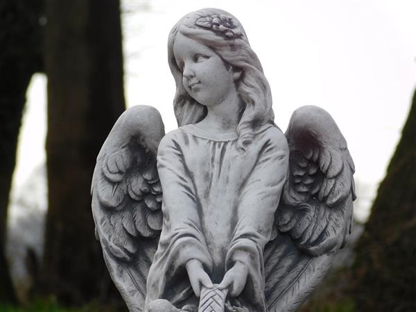 Grote foto beeld engel met een mandje 62 cm steen tuin en terras tuindecoratie