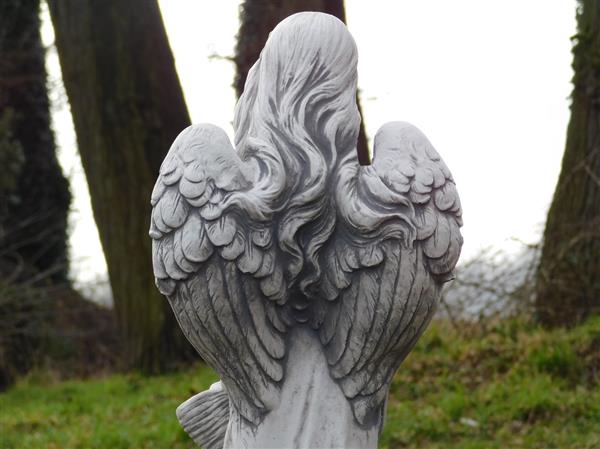 Grote foto beeld engel met een mandje 62 cm steen tuin en terras tuindecoratie