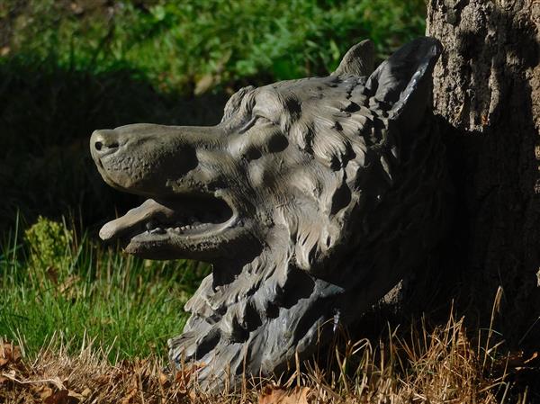 Grote foto grote wolvenkop zeer mooi in uitdrukking polystein tuin en terras tuindecoratie