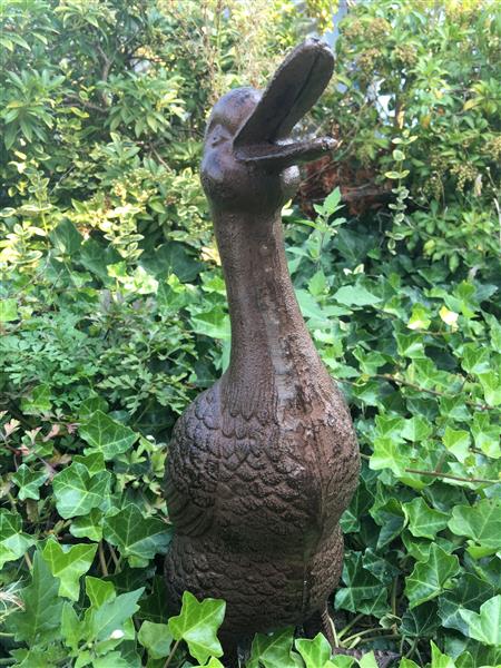 Grote foto prachtige eend gietijzer bruin. tuin en terras tuindecoratie