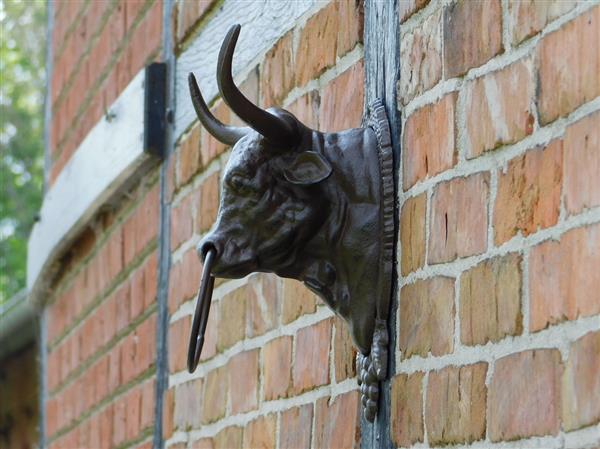 Grote foto stierenkop met ring bruin gietijzer doe het zelf en verbouw materialen en producten