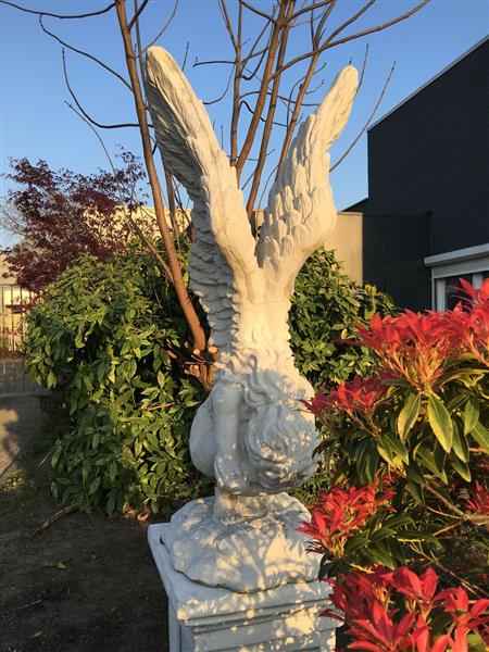 Grote foto zeer forse knielende engel met vleugels omhoog op grote sokkel zeer fors tuin en terras tuindecoratie