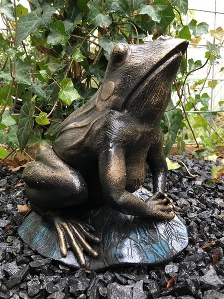 Grote foto prachtige forse bronskleurige kikker vol gietijzer tuin en terras tuindecoratie