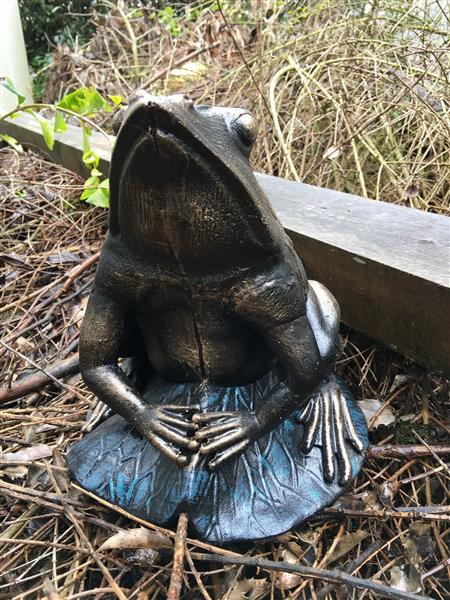 Grote foto prachtige forse bronskleurige kikker vol gietijzer tuin en terras tuindecoratie