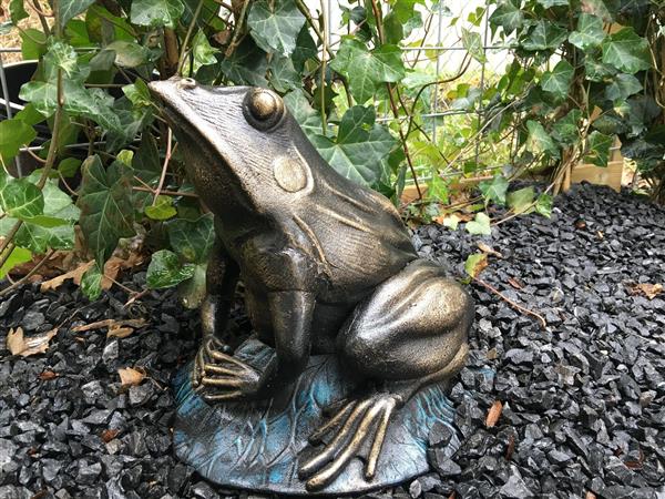 Grote foto prachtige forse bronskleurige kikker vol gietijzer tuin en terras tuindecoratie