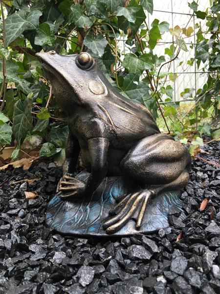 Grote foto prachtige forse bronskleurige kikker vol gietijzer tuin en terras tuindecoratie