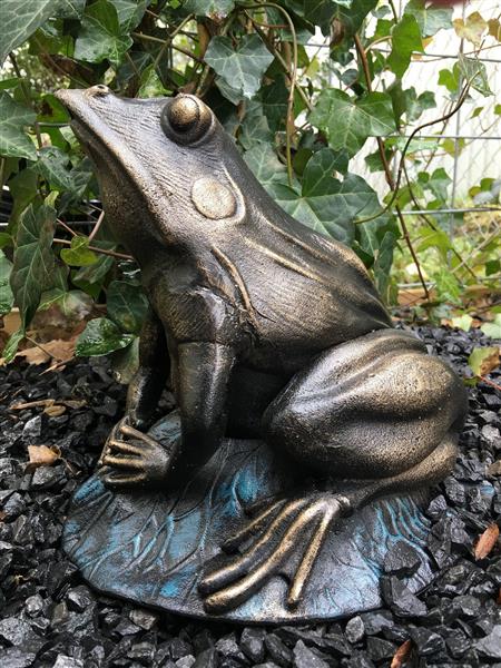 Grote foto prachtige forse bronskleurige kikker vol gietijzer tuin en terras tuindecoratie