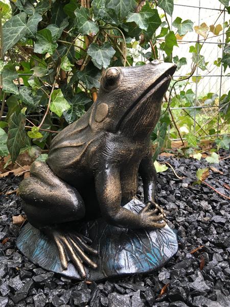 Grote foto prachtige forse bronskleurige kikker vol gietijzer tuin en terras tuindecoratie