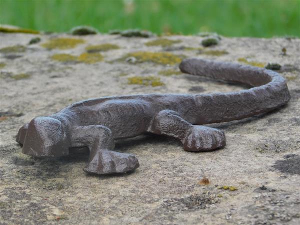 Grote foto salamander hagedis gemaakt van gietijzer huis en inrichting woningdecoratie