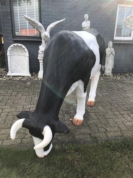 Grote foto mooie sculptuur van een grazende koe prachtig in kleur gezet echte eye catcher tuin en terras tuindecoratie