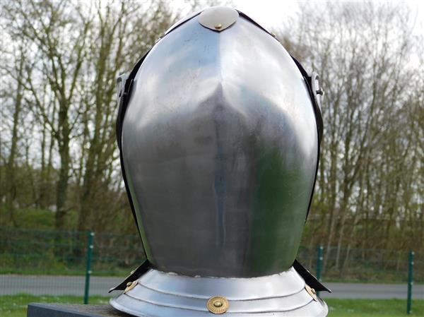 Grote foto ridderhelm metaal gepolijst en geolied tuin en terras tuindecoratie