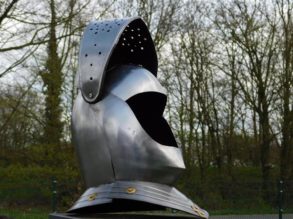 Grote foto ridderhelm metaal gepolijst en geolied tuin en terras tuindecoratie