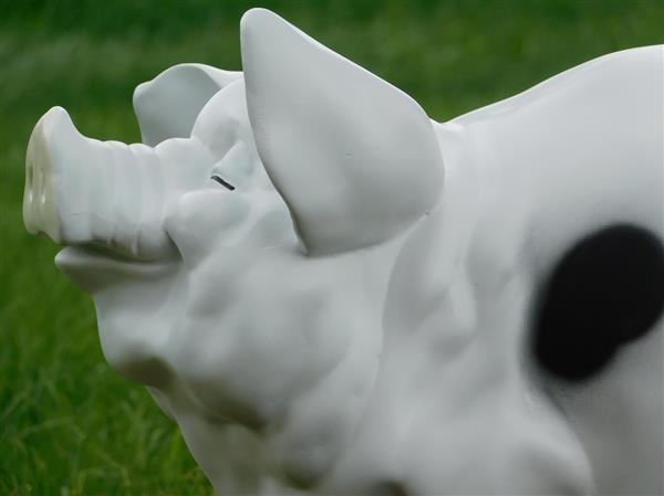 Grote foto spaarvarken xl polystone wit met zwart tuin en terras tuindecoratie