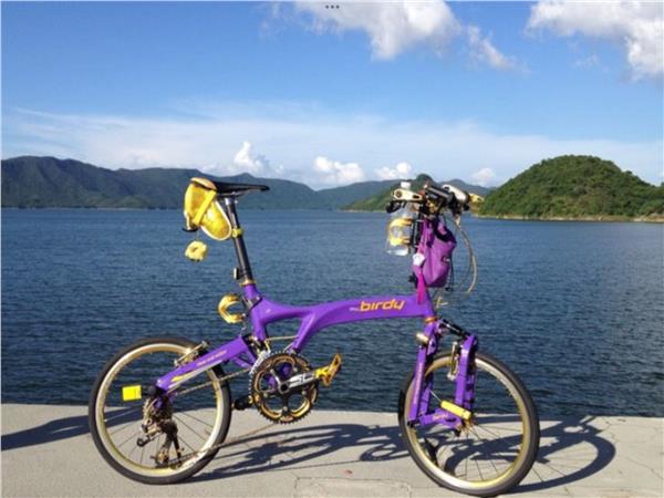 Grote foto brompton riese birdy m ller vouwfietsen gezocht fietsen en brommers vouwfietsen
