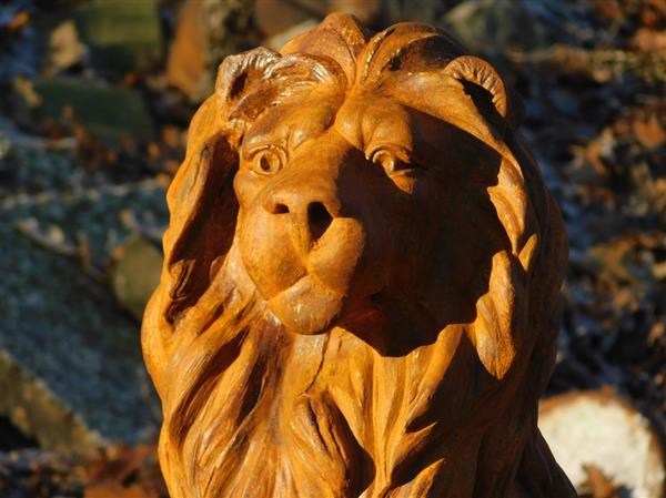 Grote foto zittende leeuw polystone links kijkend oxide tuin en terras tuindecoratie