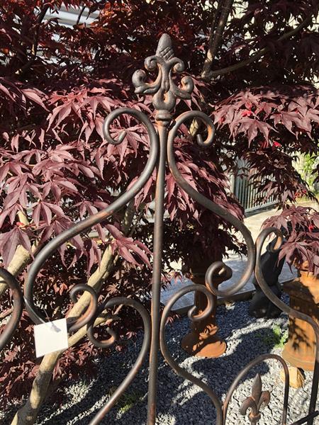 Grote foto prachtig sierhekwerk metaal met 2 x tuinsteek echt fraai tuin en terras hekken en schuttingen