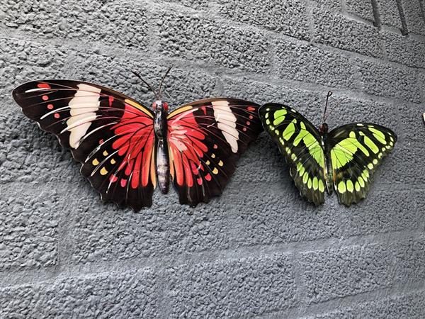 Grote foto prachtige set wandvlinders mooi in kleur en uit metaal. tuin en terras tuindecoratie