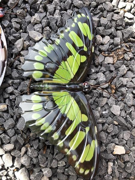 Grote foto prachtige set wandvlinders mooi in kleur en uit metaal. tuin en terras tuindecoratie