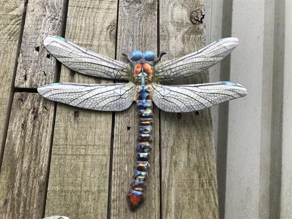 Grote foto set libelles metalen wandornamenten heel erg mooi tuin en terras tuindecoratie