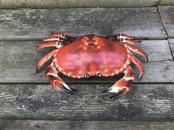 Grote foto een gietijzeren krab als een doos sieradendoos heel leuk tuin en terras tuindecoratie