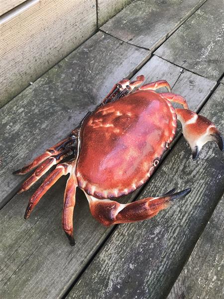 Grote foto een gietijzeren krab als een doos sieradendoos heel leuk tuin en terras tuindecoratie