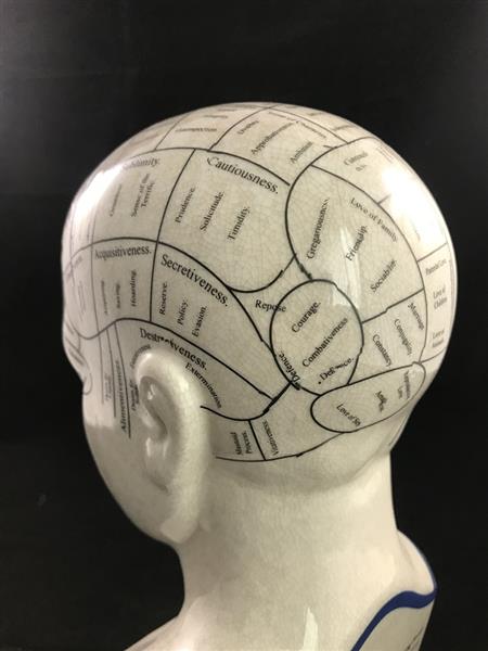Grote foto een porseleinen phrenology hoofd in blauwe kleuring tuin en terras tuindecoratie