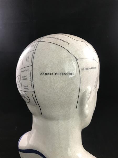 Grote foto een porseleinen phrenology hoofd in blauwe kleuring tuin en terras tuindecoratie