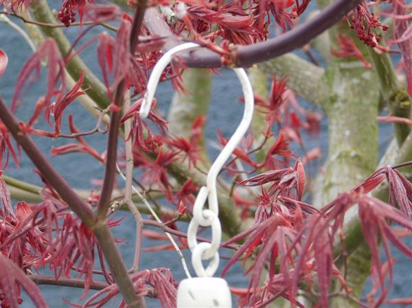 Grote foto vogelkooi groot metaal huis en inrichting woningdecoratie