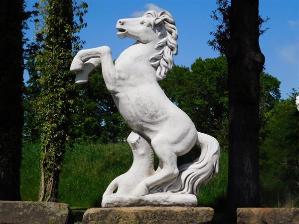 Grote foto steigerend paard xl massief gegoten steen tuin en terras tuindecoratie