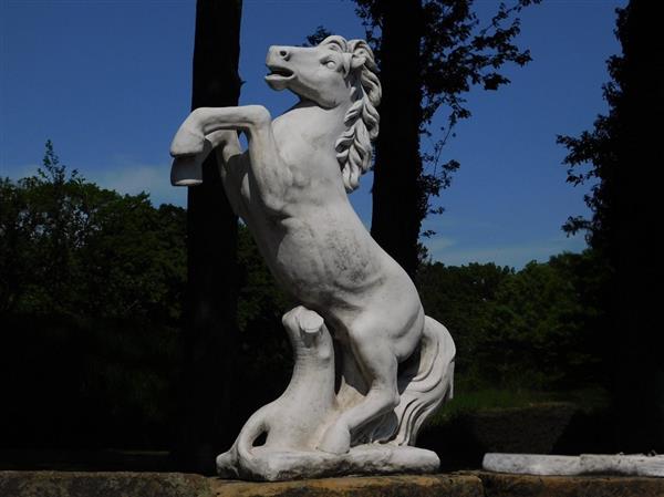 Grote foto steigerend paard xl massief gegoten steen tuin en terras tuindecoratie