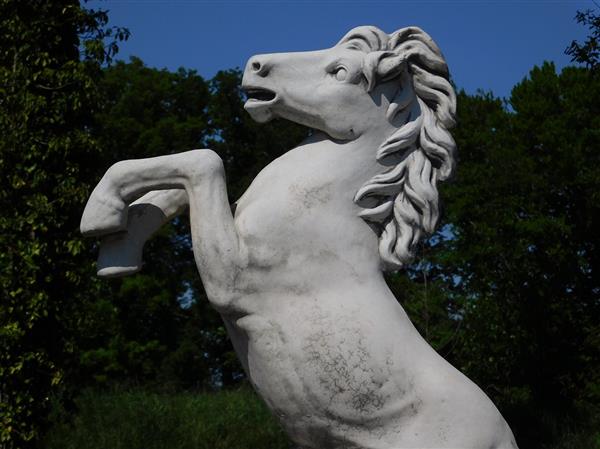 Grote foto steigerend paard xl massief gegoten steen tuin en terras tuindecoratie