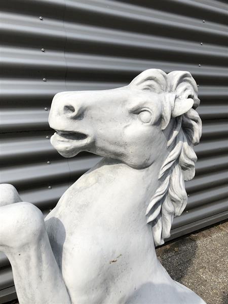 Grote foto steigerend paard xl massief gegoten steen tuin en terras tuindecoratie