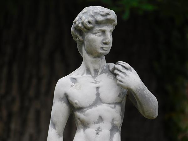 Grote foto beeld david 57 cm vol steen tuin en terras tuindecoratie