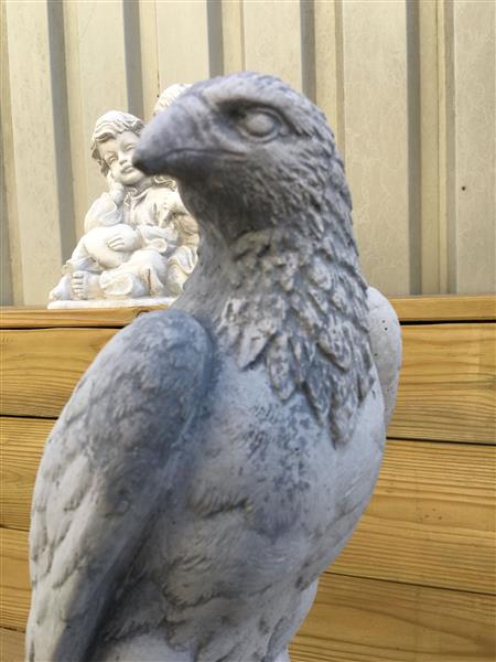 Grote foto een prachtige zittende adelaar vol steen. tuin en terras tuindecoratie