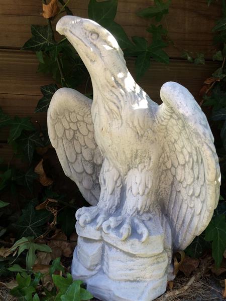Grote foto een prachtige zittende adelaar vol steen. tuin en terras tuindecoratie