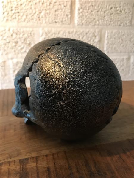 Grote foto schedel uit metaal zeer apart voor de liefhebber huis en inrichting woningdecoratie