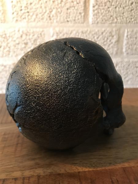 Grote foto schedel uit metaal zeer apart voor de liefhebber huis en inrichting woningdecoratie