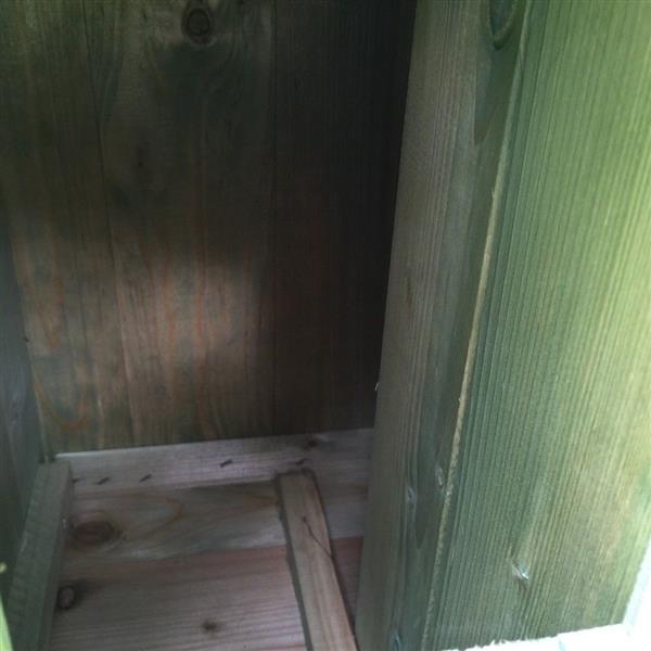 Grote foto prachtige nestkast voor vogels en eekhoorns tuin en terras tuindecoratie