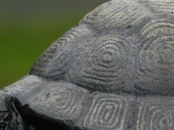 Grote foto beeld schildpad gietijzer decoratief beeld tuin en terras tuindecoratie