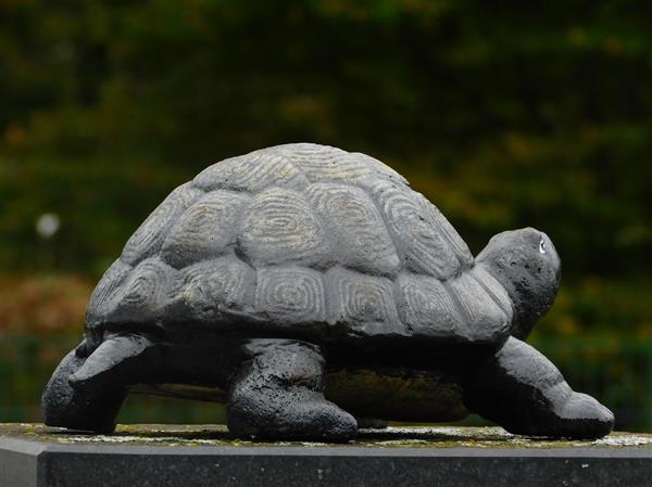 Grote foto beeld schildpad gietijzer decoratief beeld tuin en terras tuindecoratie